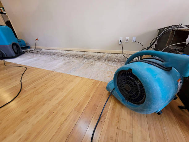 Professional Emergency Water Damage technician working in Lissie, TX